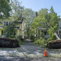 Consumers could save billions of dollars with more control of data: Comp Bureau