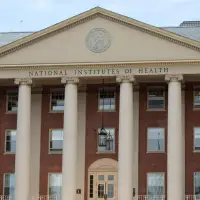 Trump administration halts use of human fetal tissue in NIH-funded research