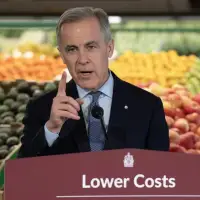 GST credit hike a 'meaningful' affordability measure for low-income people: economist