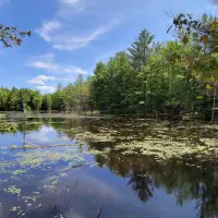 Investing in wetlands is an investment in our shared prosperity