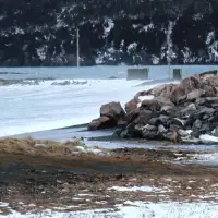 Newfoundland town declares state of emergency after ferocious 24-hour winter storm
