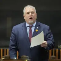 MP Johns endorses McPherson, calls her a 'strong' choice for NDP leader