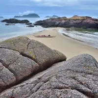 Axing N.L. ocean conservation site a 'blow' to national goals, say environment groups