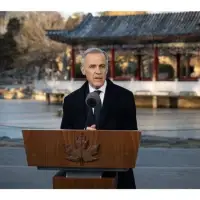 Canadians Say They'll Buy Cheaper Chinese EVs as Tariffs Drop