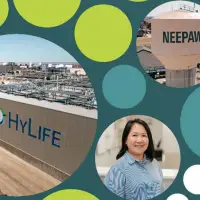 Neepawa: Manitoba’s Fast Growing “Land of Plenty”