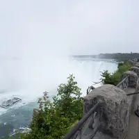 Niagara councillors vote to slow regional chair's governance consultations