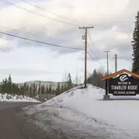 B.C. Conservative MPs Zimmer, Caputo ask for public inquiry into Tumbler Ridge deaths