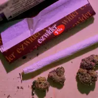 Chief in N.S. says Mi'kmaq have a treaty right to sell cannabis amid new RCMP raids