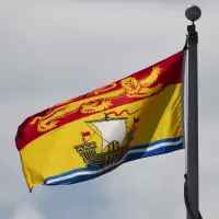 Politicians and environmentalists call for transparency on N.B. highway toxin spill