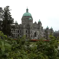 MLA wants to scrap B.C.'s Human Rights Code. Some constituents want her gone instead