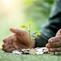 How to get Canada's economy growing again