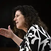 Phoenix backlog needs to be cleared to avoid errors in new system: AG