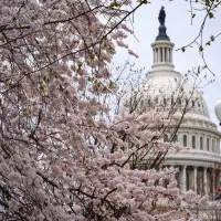 Oklahoma's governor picks energy executive Alan Armstrong to fill US Senate seat through end of year