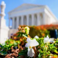 Supreme Court considers letting Trump administration revive restrictive immigration asylum policy