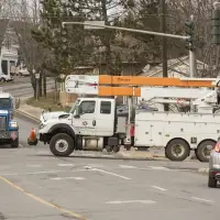 Remove political interference from decisions at New Brunswick utility: expert report