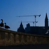 Carney commits to not proroguing Parliament after April 13 by-elections