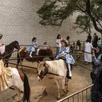 Expert's report criticizes CRA over audit of Muslim charity, calls for improvements