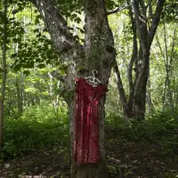 Indigenous women's groups urge funding to limit risks to safety, prosperity