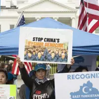 Advocates urge Ottawa to crack down on slave labour, end yearlong watchdog vacancy