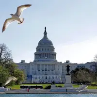 House passes a bill to protect Haitian immigrants, in slap back to the Trump administration