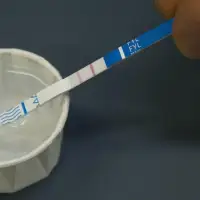 B.C. 'chemical fingerprint' scheme to track illicit drugs is likened to DNA tests