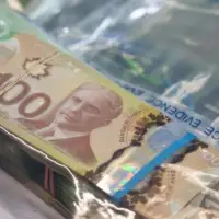 Liberals are pitching a brand new police agency for financial crimes. How would that work?