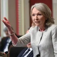 Quebec psychiatrists group supports bill on forced hospitalizations for mentally ill