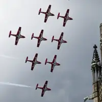 Snowbirds could be grounded for years, Conservatives warn