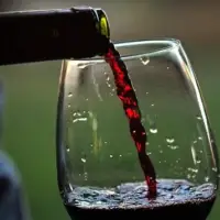 Untapped growth potential in Canada’s wine sector hindered by trade barriers, taxes: report