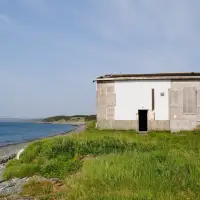 Hope in Newfoundland town as government seeks removal of rotting, stinking fish sauce