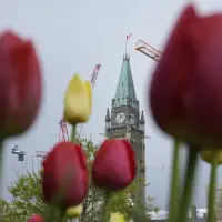 Border law to face constitutional challenge over new refugee claim rules
