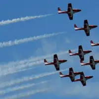 Defence Minister expected to lay out future of Snowbirds’ jets on Tuesday