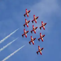 Canada’s Snowbirds jets grounded until 2030s as replacement aircraft identified