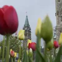Inclusion groups sign open letter calling on Ottawa to halt MAID for mental illness