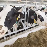 Agriculture minister reappoints Canadian Dairy Commission CEO Benoit Basillais