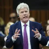 Minister says Canadian forestry crisis goes beyond Trump tariffs