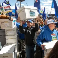 Elections Alberta kicks off hiring spree ahead of 'colossal' fall referendum vote