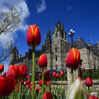 House of Commons passes bill criminalizing forced sterilization