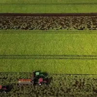 Carney to unveil new food security strategy