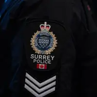 New chair for police board in Surrey, B.C., after former chair quit in protest