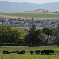 Communities report high demand for pilot offering permanent residency for rural jobs