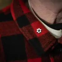 Some Indigenous people wary of Order of Canada's "colonial symbolism": federal study