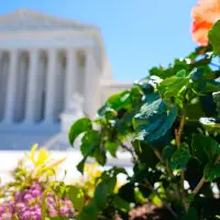Supreme Court rules states can count late-arriving mailed ballots, rejecting Trump-led challenge