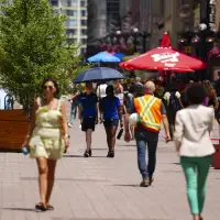 Applications for federal public service jobs drop by almost 30 per cent