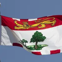 P.E.I. Liberal leader steps down after byelection loss