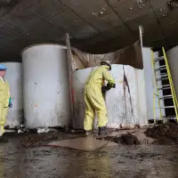 First load of rotting, decades-old fish sauce trucked away from abandoned N.L. plant