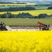 Canadian economy grew 0.3% in May, paving way for 2nd-quarter rebound