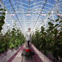 Canada could add billions to its economy by processing more food. Here's what it's trying