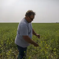 Saskatchewan senator, farmer Todd Lewis dies at age 65