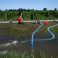 Ontario wine country cleans up after flood as Ford visits communities under emergency